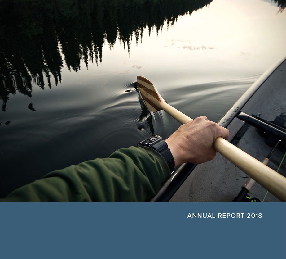 BCTC Annual Report 2018 cover large